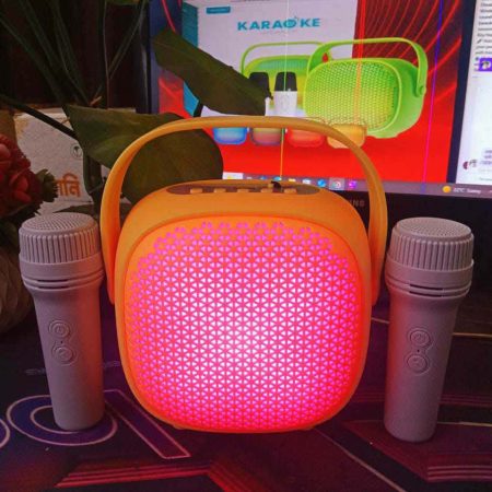 ওয়্যারলেস মাইক্রোফোন + স্পিকার কম্বো